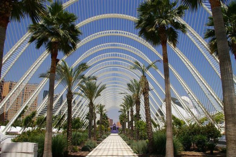 Valencia Lights