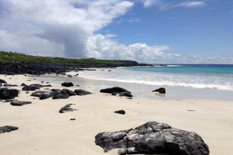 Glapagos Beach