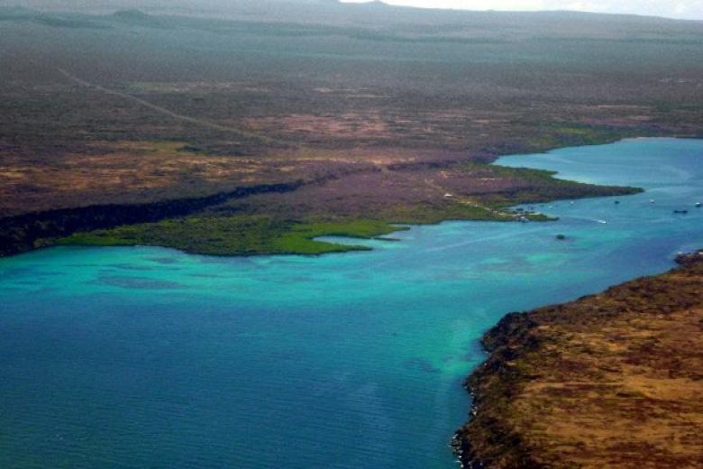 Galapagos
