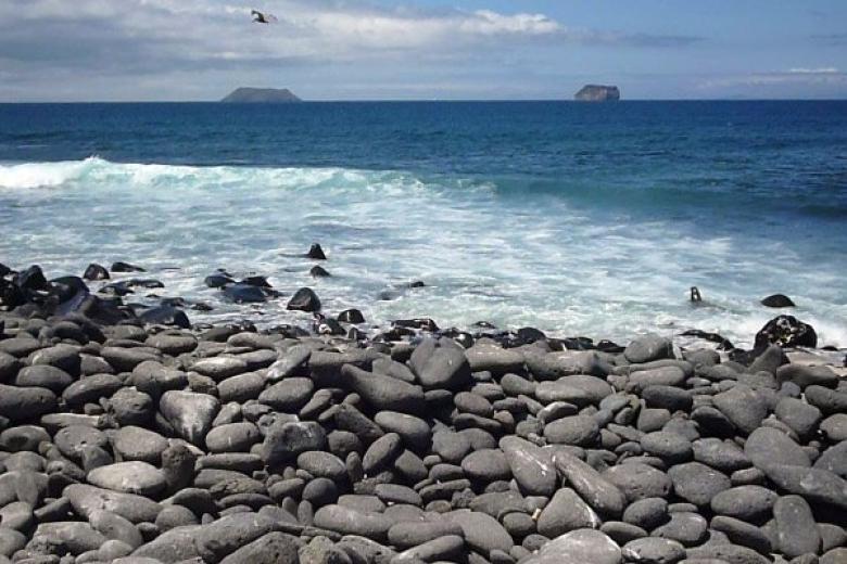 North Seymour Island