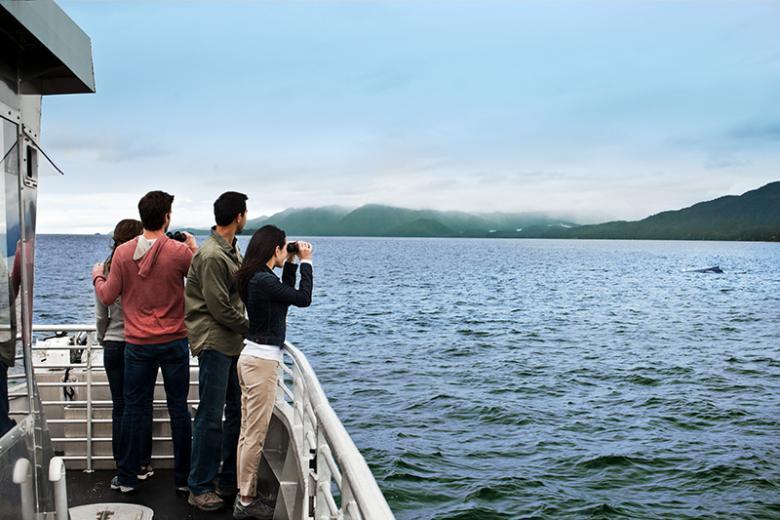 Whale Watching in Juneau