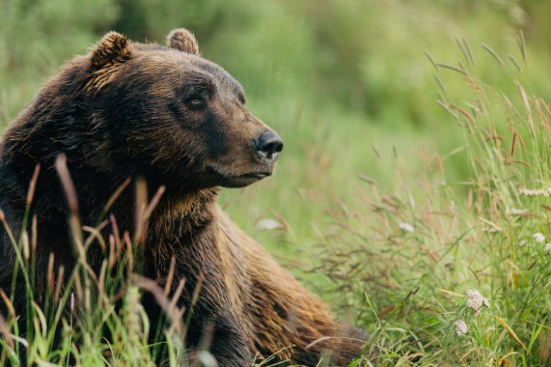 Visit the Wildlife Conservation Centre