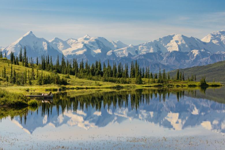 Visit the Denali National Park