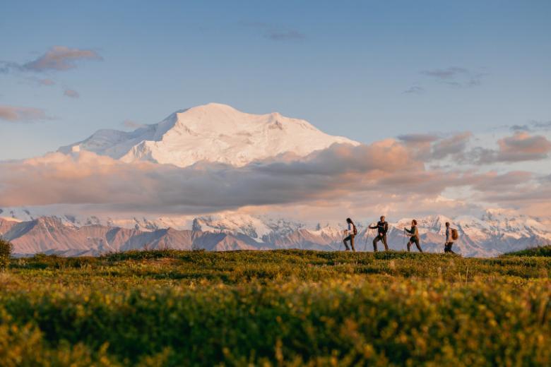 Go Hiking in the Denali National Park