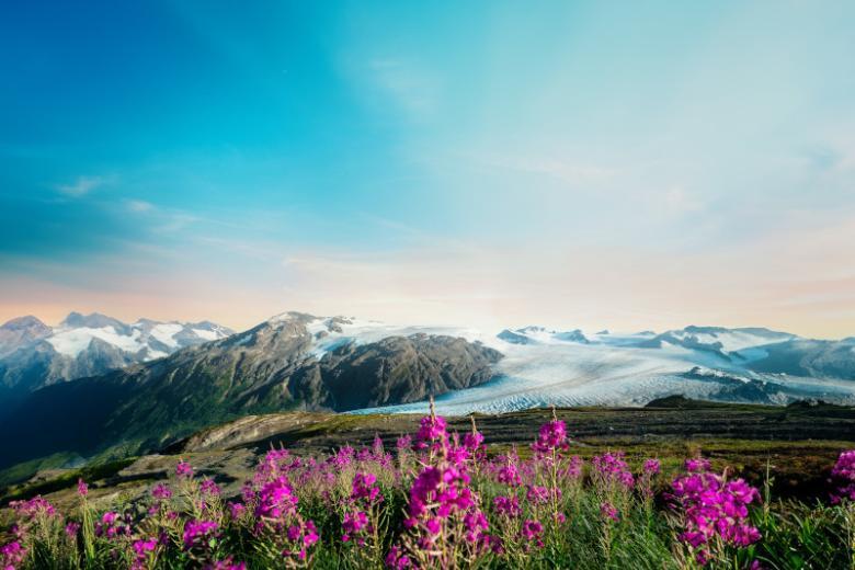 Kenai Fjords National Park